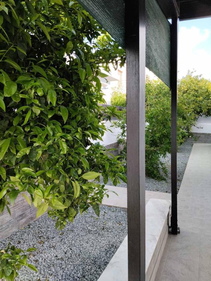 Michael Angelo Villa Paphos Kültér fotó
